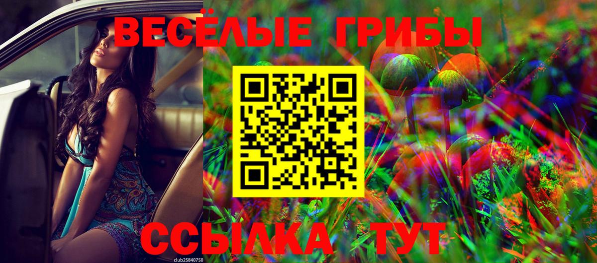 Псилоцибиновые грибы Psilocybe  Вход с VPN  Псилоцибиновые грибы Cubensis  Лесной 