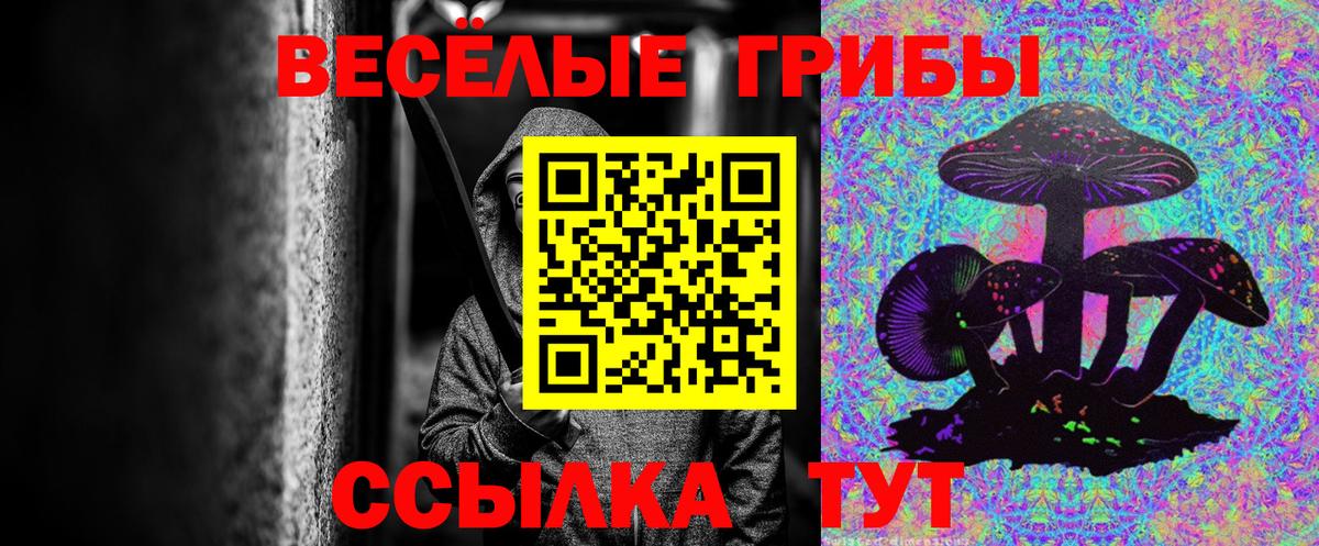 Псилоцибиновые грибы Psilocybe Лесной